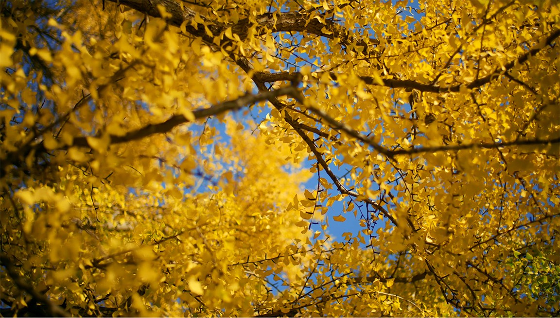 1744334497414482.jpg 清晰画质.jpg