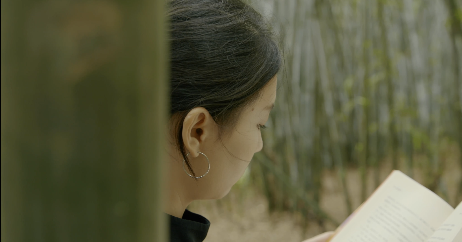 1748490636357335.png ed7e474787e717edb6671e5609a6461.png