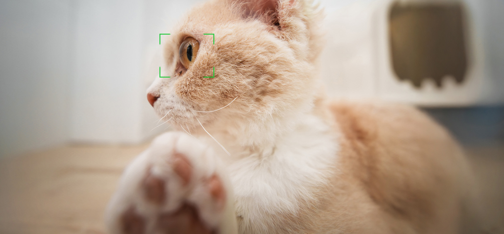 1751611646151084.jpg 自动对焦.jpg