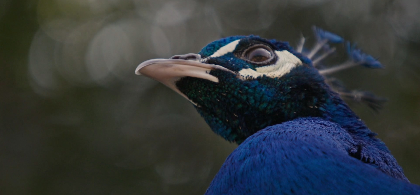 1755134230302298.png 最近对焦距离.png